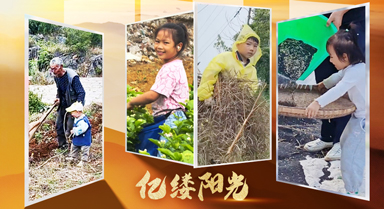 亿缕阳光·乡见｜垄上发新苗
